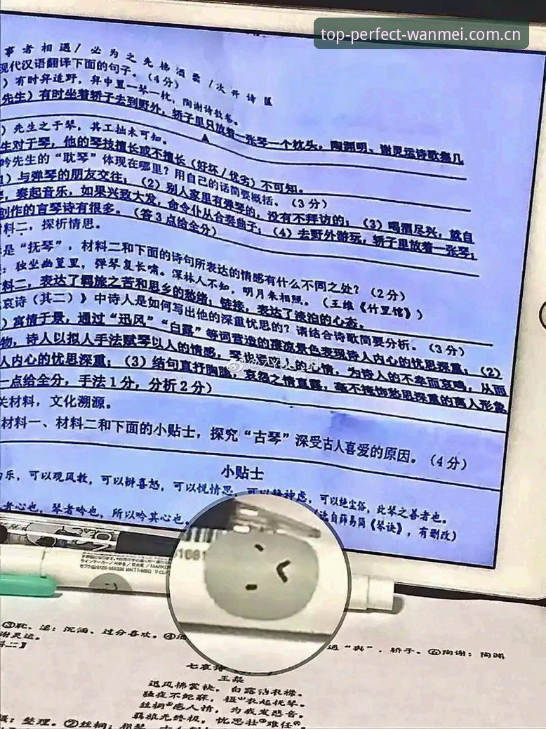 完美体育下载不了 完美体育下载问题全面解析:原因溯源与深度解决方案